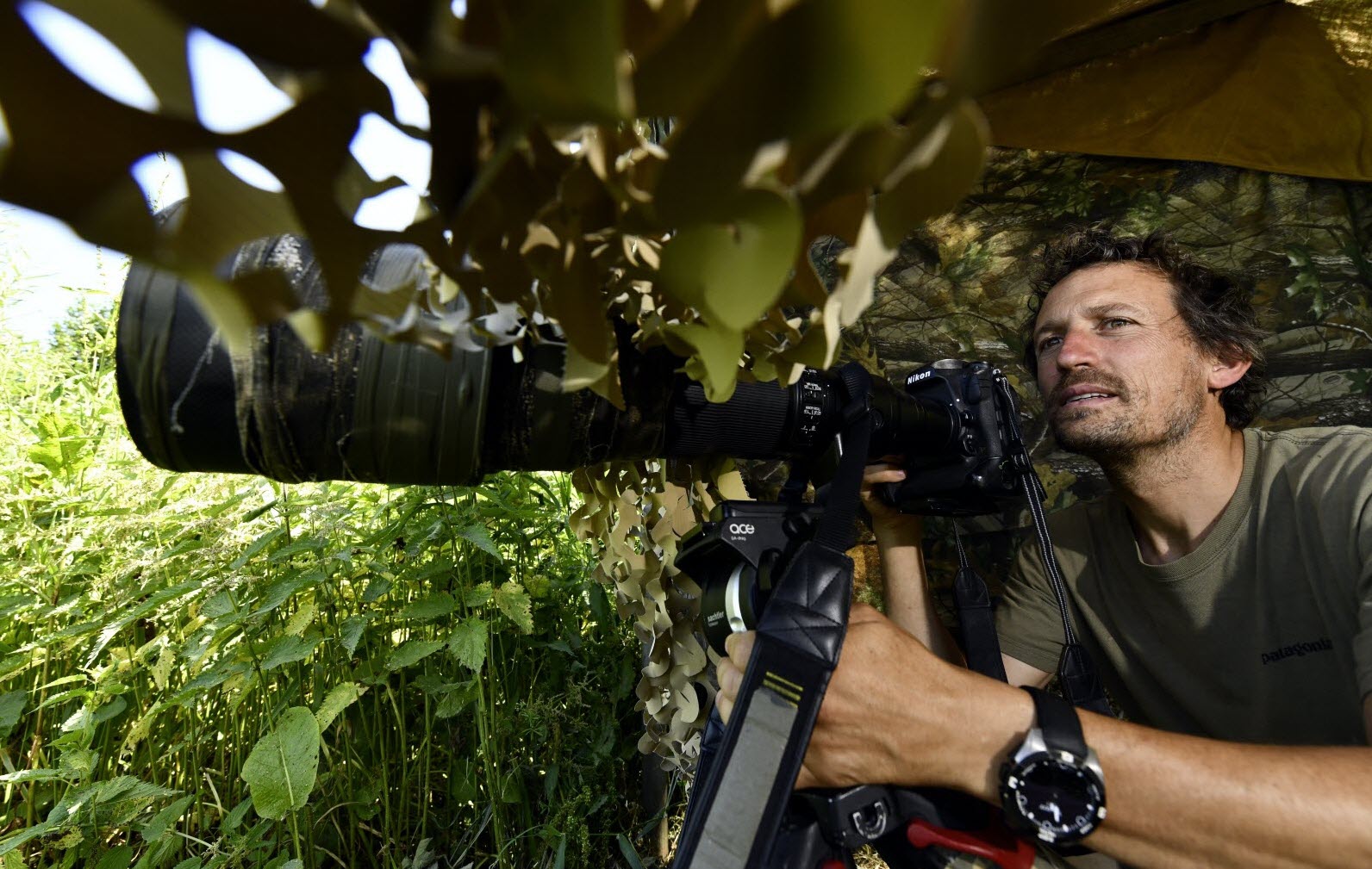 photographe-animalier